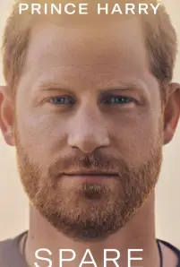 Harry_ The Interview (2023)