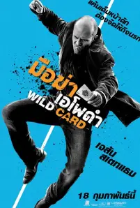 Wild Card (2015)