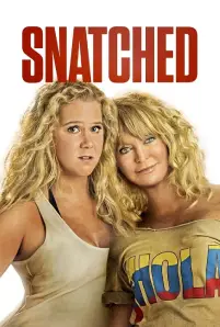 Snatched (2017)