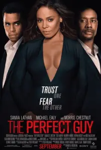 The Perfect Guy (2015)